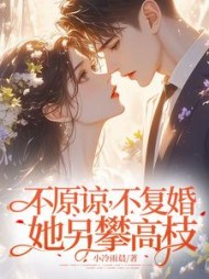 不原谅，不复婚！她另攀高枝！阅读