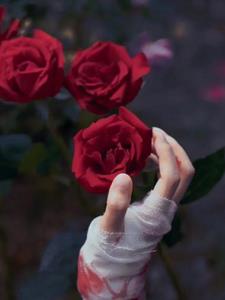 我喝下了他亲手下的毒(哭成小包子)阅读(哭成小包子) - 我喝下了他亲手下的毒(哭成小包子)阅读全文在线阅读 - 我喝下了他亲手下的毒(哭成小包子)阅读最新章节 - 奏决网