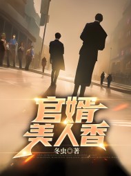 官婿美人香胡丽丽向南阅读