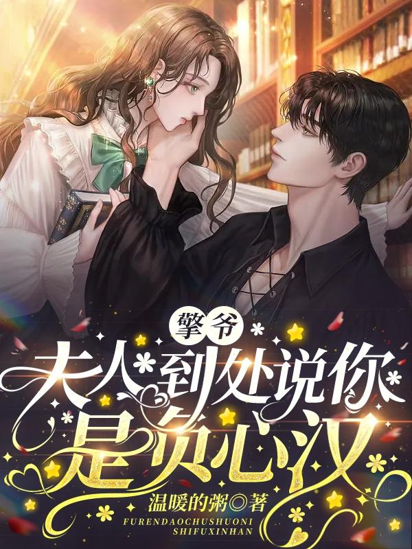 擎爷，夫人到处说你是负心汉小说阅读