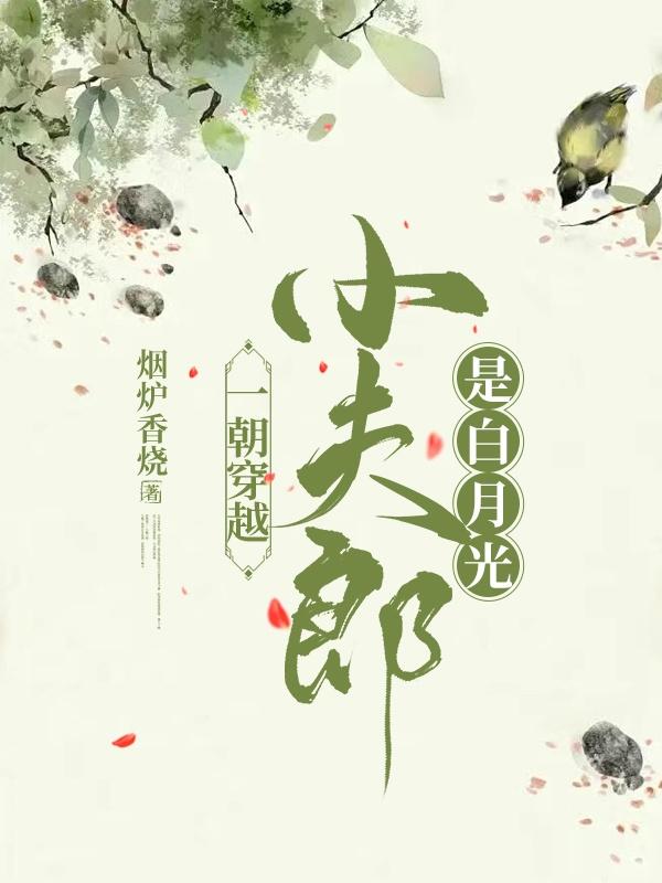 一朝穿越，小夫郎是白月光