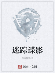 迷踪谍影小说阅读