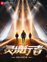 灵境行者小说阅读