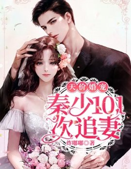 天价婚宠秦少101次追妻小说阅读