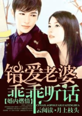 婚内燃情：错爱老婆乖乖听话小说阅读