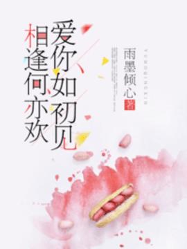 爱你如初见，相逢何亦欢小说阅读