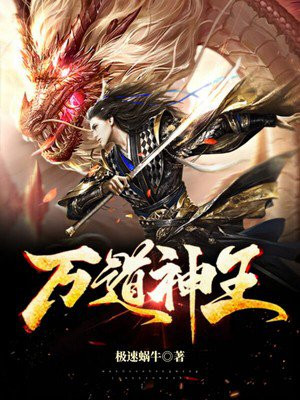 万道神王小说阅读