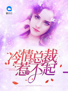 冷情总裁惹不起南枝枝小说阅读