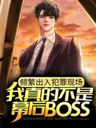 频繁出入犯罪现场我真的不是幕后BOSS