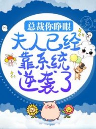 总裁你睁眼夫人已经靠系统逆袭了