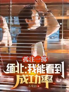 孤注一掷缅北我能看到成功率by方莫泊