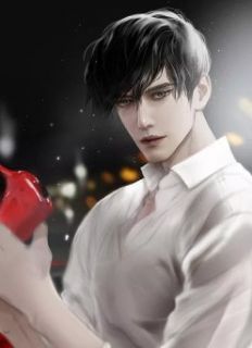 王牌飞行员凌云