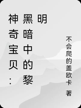 神奇宝贝：黑暗中的黎明