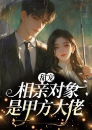 甜宠:相亲对象是甲方大佬